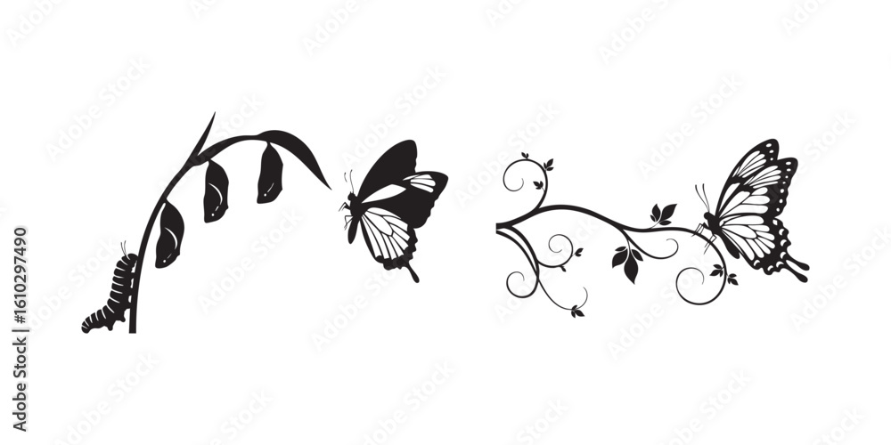 Naklejka premium Butterfly metamorphosis vector drawing illustration design nature transformation art