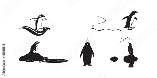 Penguin vector illustration set black and white animal antarctic bird design graphic