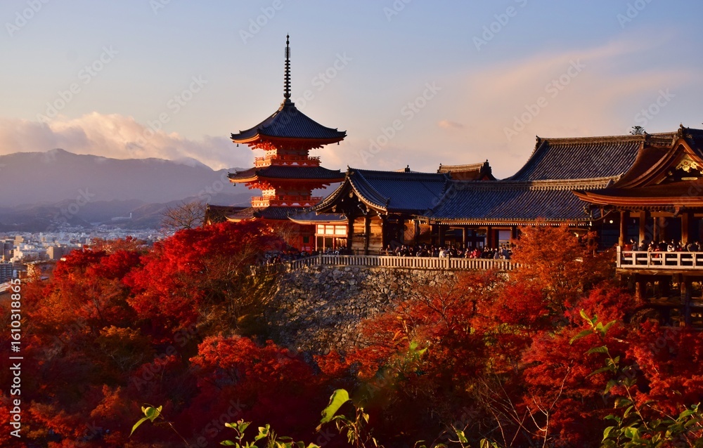 Fototapeta premium 秋の清水寺・夕景