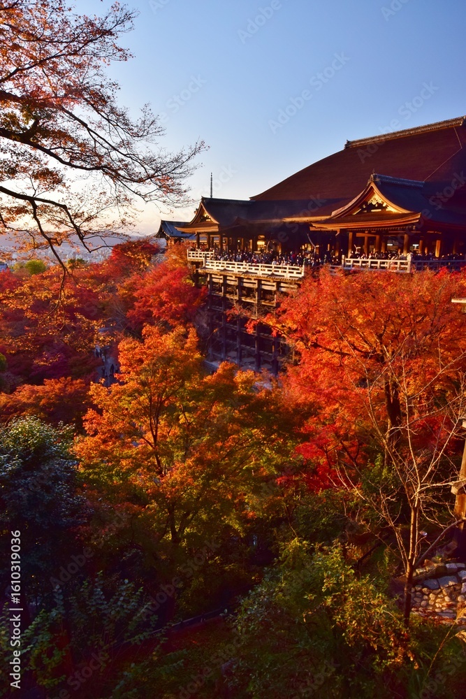 Naklejka premium 秋の清水寺・夕景
