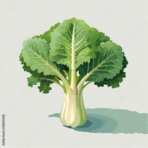Illustration of a vibrant bok choy plant with fresh leaves and a light background