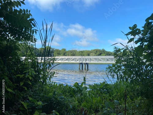 bridge over lake