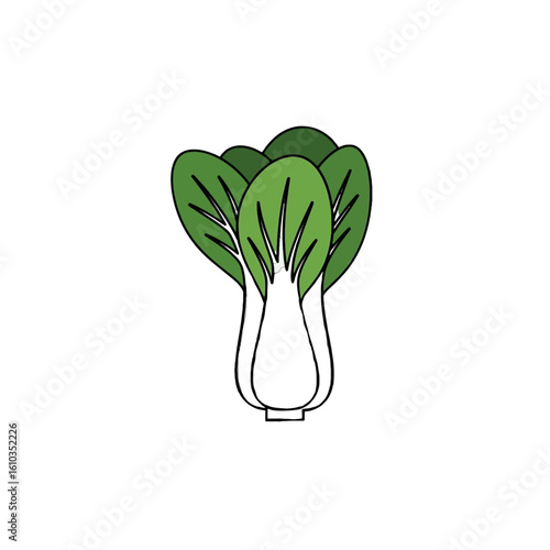 Simple illustration of a bok choy head with vibrant green leaves.