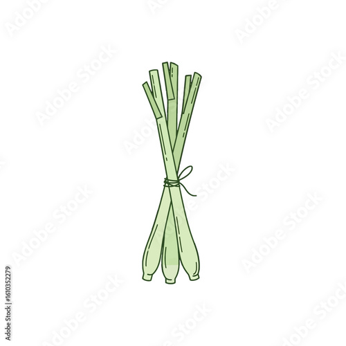 A bunch of fresh lemongrass stalks tied together, illustrated in a simple, hand-drawn style.