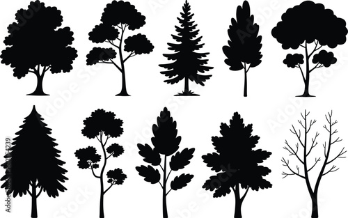 Diverse tree silhouettes trees nature