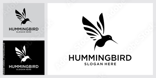 Hummingbird vector logo design. Bird vector logo design