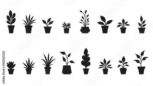 Diverse potted plant silhouettes potted plants houseplants