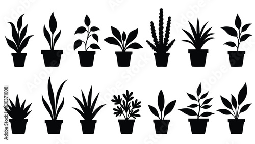 Potted plants silhouettes diverse foliage shapes houseplants leaves