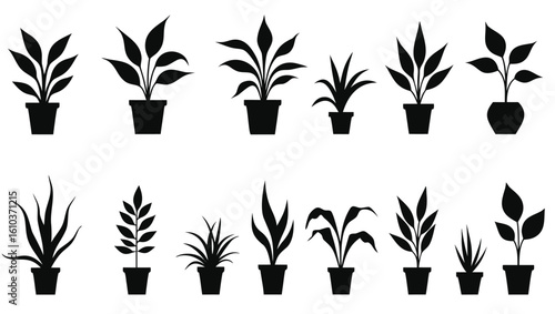 Potted plants silhouettes houseplants foliage