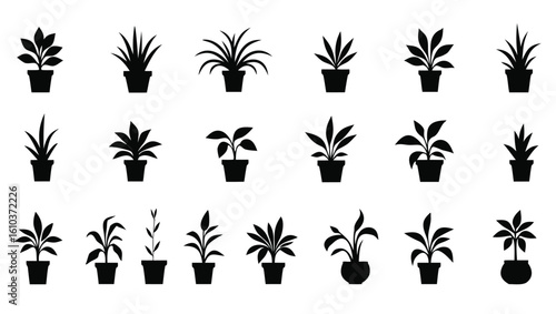 Potted plants silhouettes houseplants indoor plants