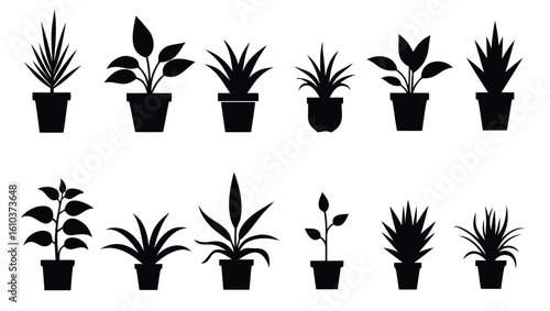 Potted plants silhouettes various leaf shapes and sizes houseplants indoor plants