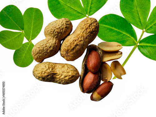 Ripe brown peanuts most delicious snacks with green leaves isolated on a white background.