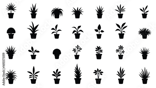Potted plants various shapes and sizes houseplants foliage