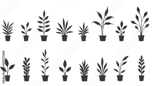 Potted plants with various leaf shapes and sizes houseplants foliage