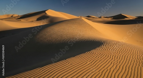Fototapeta Naklejka Na Ścianę i Meble -  Desert landscape with sand dunes and rippled sand patterns