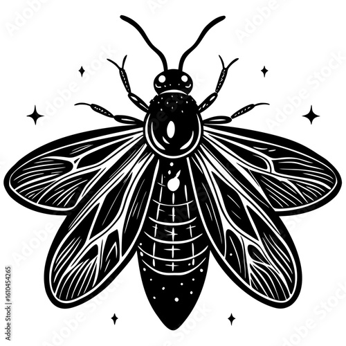 vector illustration of a black butterfly