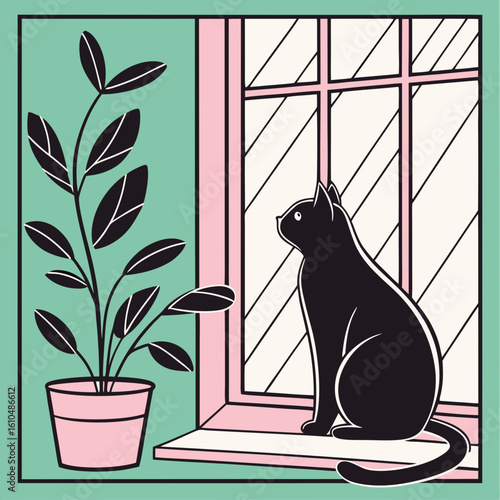 cat on window sill