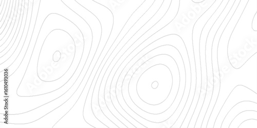 Abstract topography lines background contour map on white background, The design is minimalistic and modern with a smooth flowing texture.