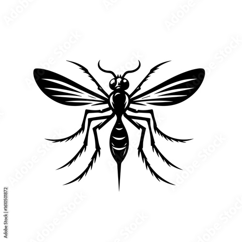 A detailed black and white illustration of a mosquito