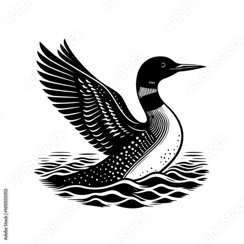 A loon swims gracefully in the water