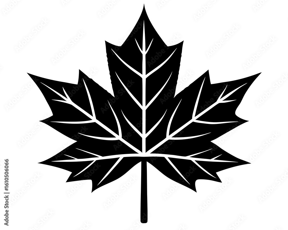 Obraz premium Maple leaf vector silhouette illustration isolated on white background
