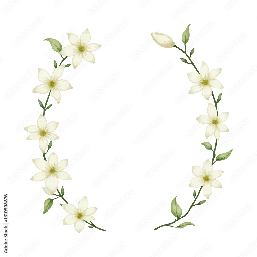 Fototapeta premium watercolor jasmine flower