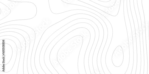 Topographic terrain map background with gold lines texture, White wave paper curved reliefs abstract background.