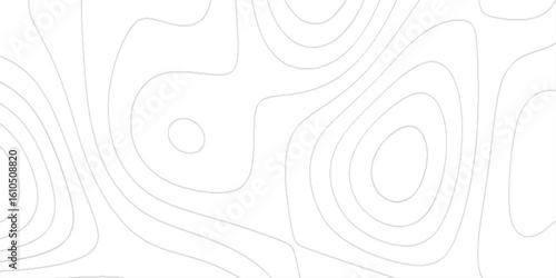 Topographic terrain map background with gold lines texture, White wave paper curved reliefs abstract background.
