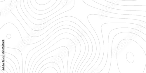 Topological tapestry of heights valleys contours delineate, The gray on white contours vector topography stylized height of the lines, sea map and mounted map area space geometrics line.