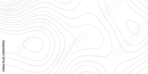 Abstract wavy and curved geometric topographic contour map lines background,  The lines are thin and a light gray color, set against a pure white background.