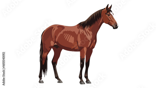Brown Horse Illustration on White Background: horse,  brown,  animal,  mammal,  equine, and more. This image captures various elements such as  stallion,  mare,  foal,  illustration,  vector.