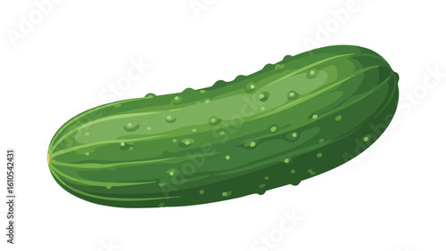 Fresh Green Cucumber Isolated on White: cucumber,  vegetable,  food,  healthy,  fresh, and more. This image captures various elements such as  green,  organic,  raw,  diet,  nutrition.