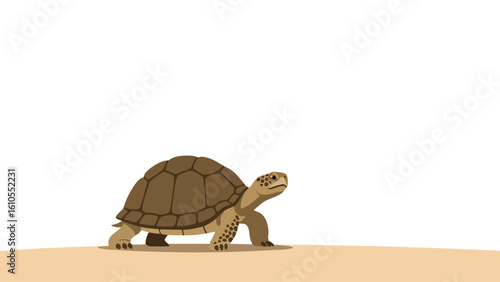 Cartoon Tortoise Walking on Sandy Ground. featuring tortoise, turtle, reptile and more, creating a perfect scene. This scene includes elements like animal, wildlife, nature.
