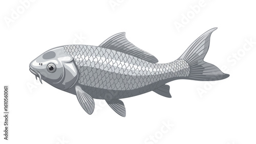Silver Koi Fish Illustration. featuring fish, koi, carp and more, creating a perfect scene. This scene includes elements like aquatic, animal, nature.