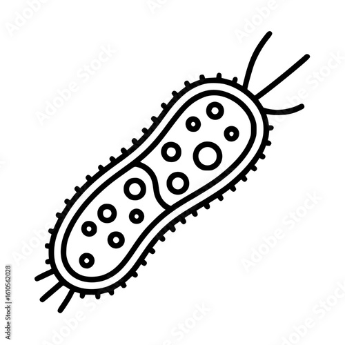 bacteria cell dividing with spiky outline