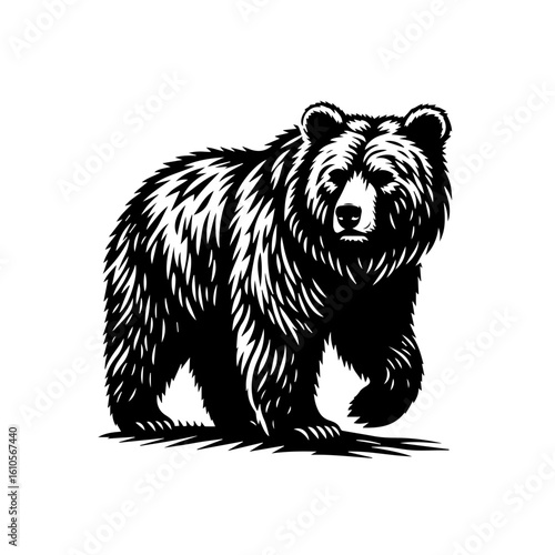 A walking grizzly bear in a detailed illustration