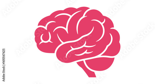 A stylized pink human brain icon, depicted in a flat graphic style with prominent white sulci lines.