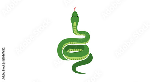 A vibrant green cartoon snake in a coiled pose, with a segmented underbelly and a flicking red tongue.
