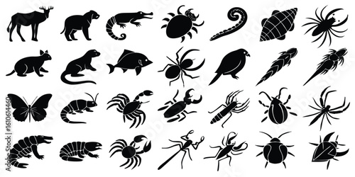 Silhouette illustrations of various animals including insects spiders and birds in a monochrome black and white style