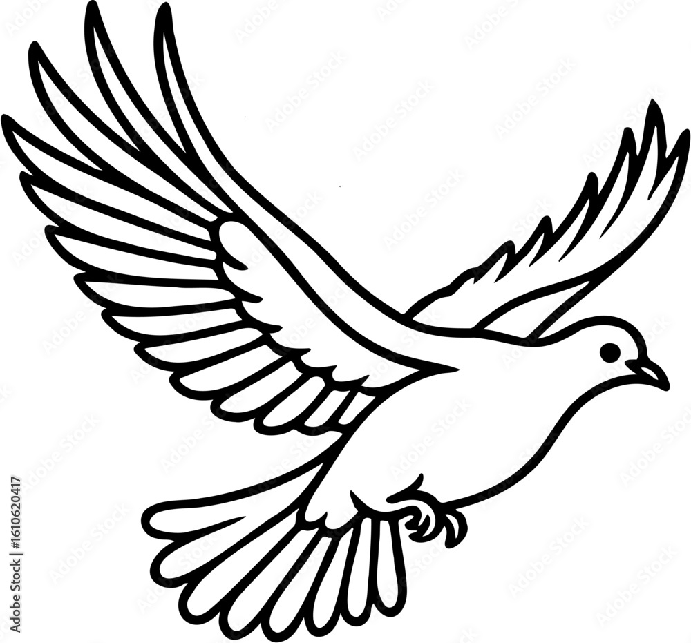 Fototapeta premium vector illustration of a dove, isolated on white