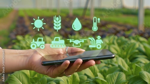 Hand holding smartphone displaying agricultural technology icons over a field, representing smart farming and modern agriculture.