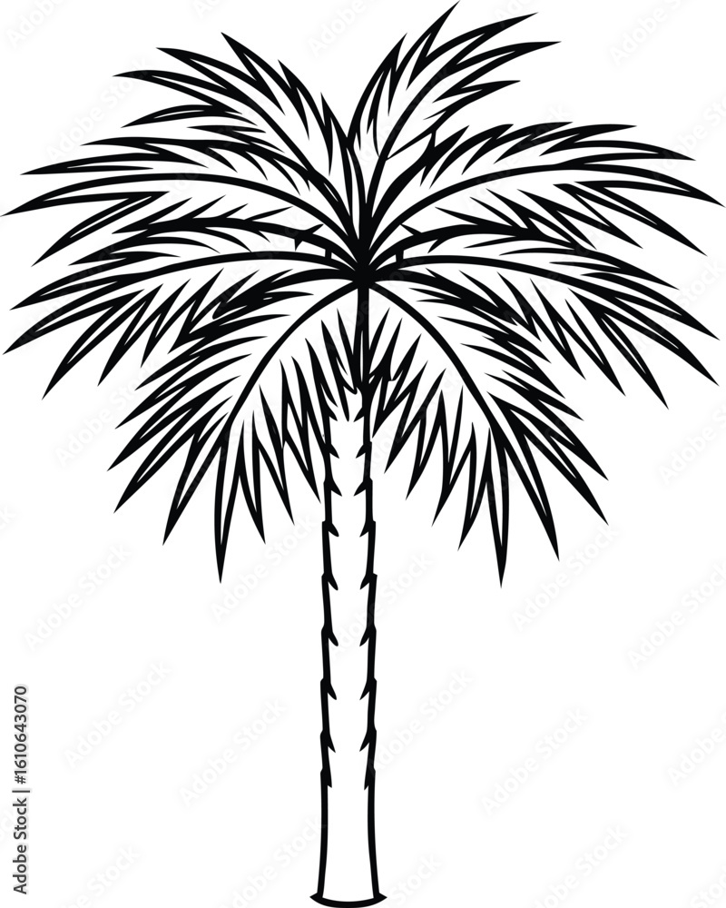Obraz premium Botanical line drawing of butia capitata palm tree detailed tropical foliage vector illustration, Butia capitata palm botanical line art, Tropical palm tree sketch, Elegant botanical palm vector