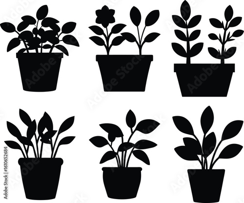 a set of vector graphic silhouettes of potted plants, realistic, detailed, high contrast black and white
