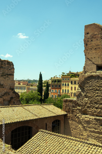 An ancient view over Rome