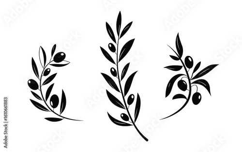 Olive Branch Silhouette Pack – Mediterranean Icons for Culinary, Peace & Botanical Designs