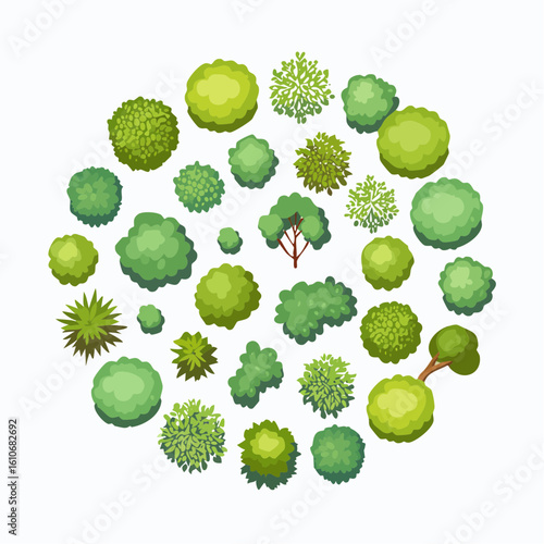 Diverse collection of green trees and bushes seen from a top view creating a circular pattern on a white background