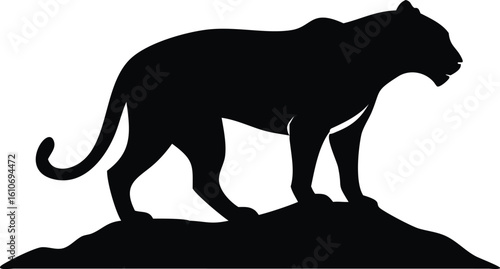 An Tiger silhouette in vector form