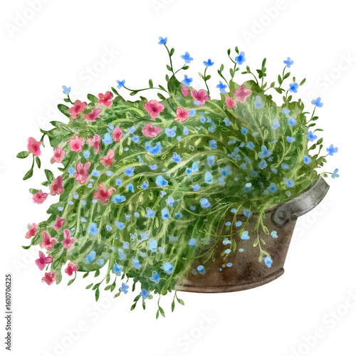 Watercolor illustration of Bouquet of multicolored decorative flowers. Lush red and blue flowers in a basket. For flower shops, printing on postcards, greeting cards, business cards, etc.