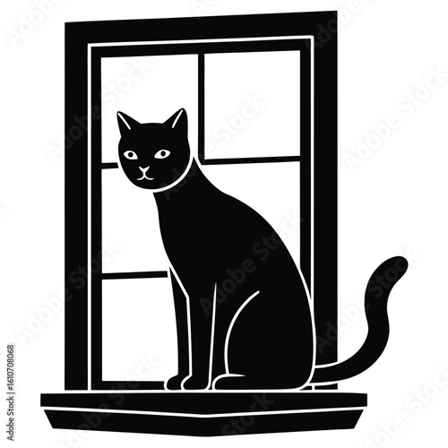 cat on windowsill