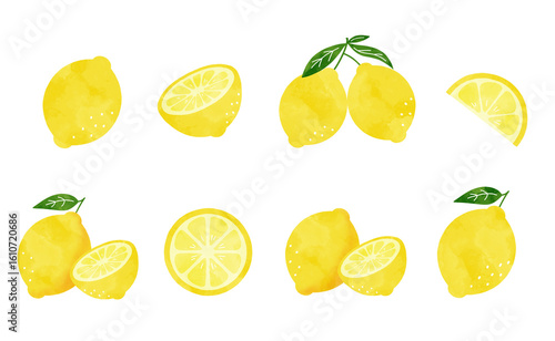 ナチュラルなレモンの水彩イラストセット／Natural Style Lemon Watercolor Illustration Set